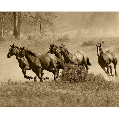 Wild Horses II Gold Ornate Wood Framed Art Print with Double Matting by Anonymous