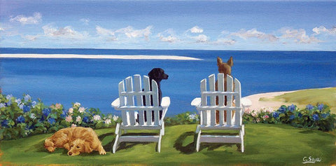 Chatham Tail White Modern Wood Framed Art Print with Double Matting by Saxe, Carol