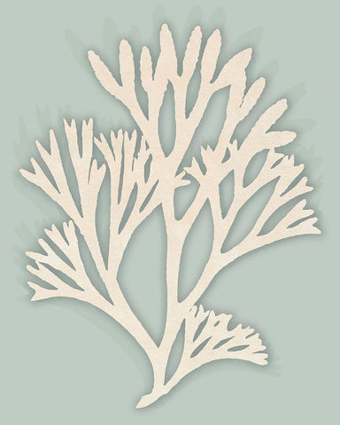 Ocean Rockweed I. White Modern Wood Framed Art Print with Double Matting by InuitÂ  Â 