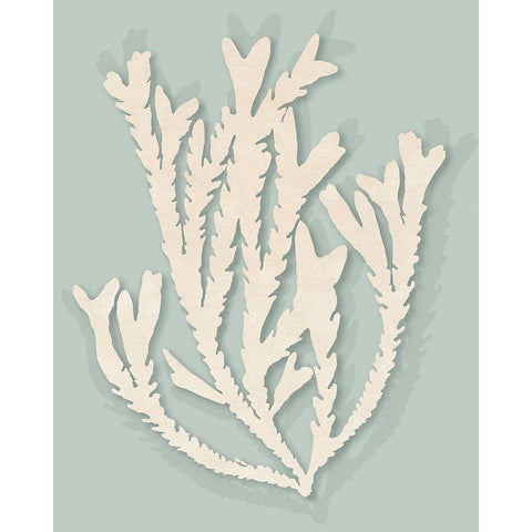 Ocean Rockweed II. Black Modern Wood Framed Art Print with Double Matting by InuitÂ  Â 