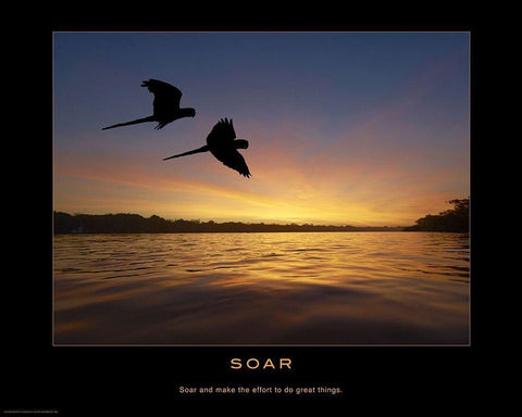 Soar Black Ornate Wood Framed Art Print with Double Matting by Anonymous