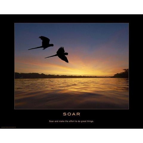 Soar Black Modern Wood Framed Art Print with Double Matting by Anonymous