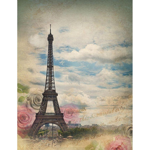 Eiffel in Rose Sky Black Modern Wood Framed Art Print with Double Matting by Anonymous