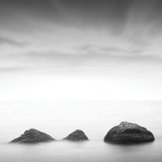 Image Only