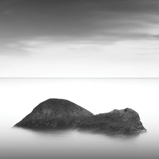 Image Only