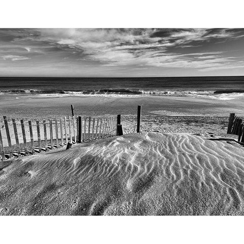 Pathway Black Modern Wood Framed Art Print with Double Matting by Turek, Eve