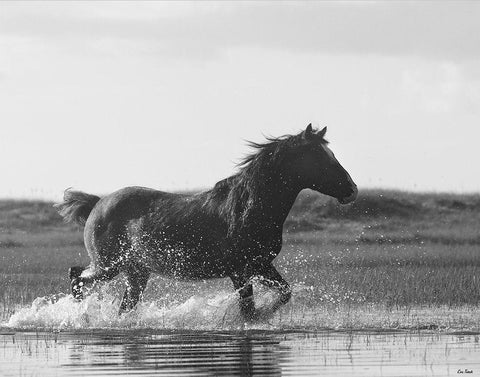 Run Like the Wind Black Ornate Wood Framed Art Print with Double Matting by Turek, Eve