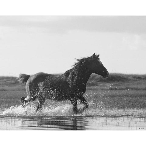 Run Like the Wind Gold Ornate Wood Framed Art Print with Double Matting by Turek, Eve