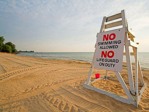 No Swimming, Color Black Ornate Wood Framed Art Print with Double Matting by Anonymous