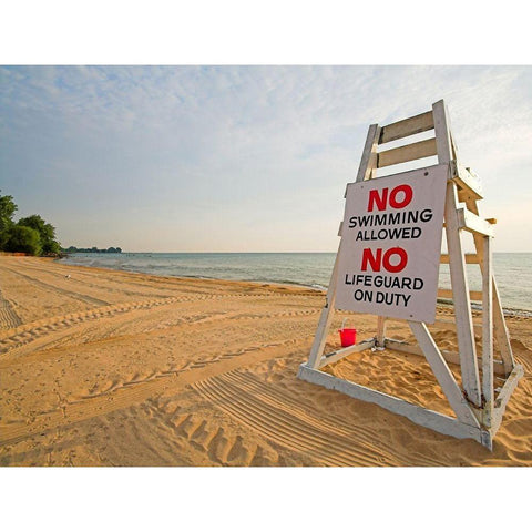 No Swimming, Color Gold Ornate Wood Framed Art Print with Double Matting by Anonymous