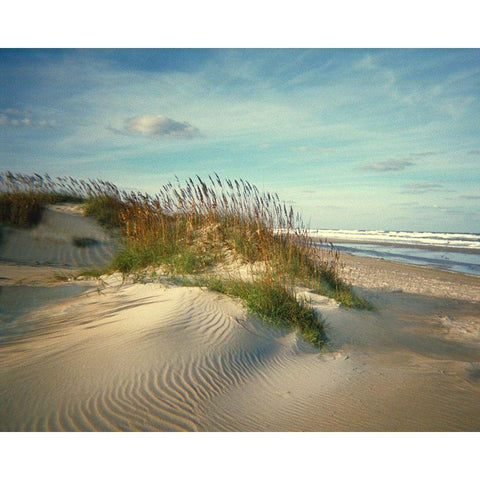 Sand Dunes Black Modern Wood Framed Art Print with Double Matting by Anonymous