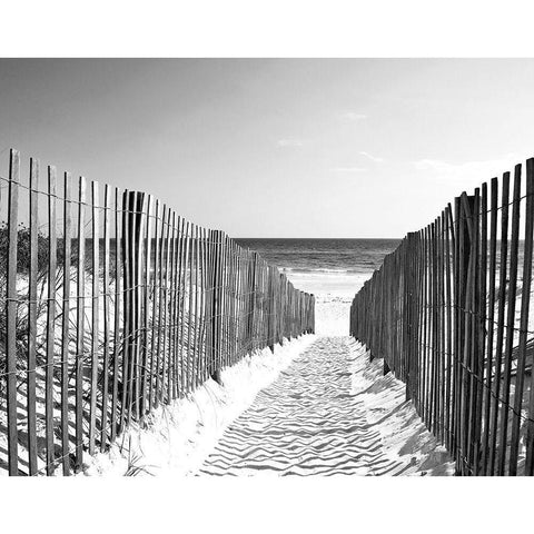 Coastal Path White Modern Wood Framed Art Print by Anonymous