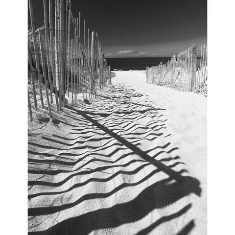 Shadowed Pathway White Modern Wood Framed Art Print by Anonymous