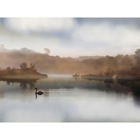 Morning on the River White Modern Wood Framed Art Print by Rega,  S.