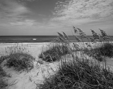 The Blessing Place White Modern Wood Framed Art Print with Double Matting by Turek, Eve