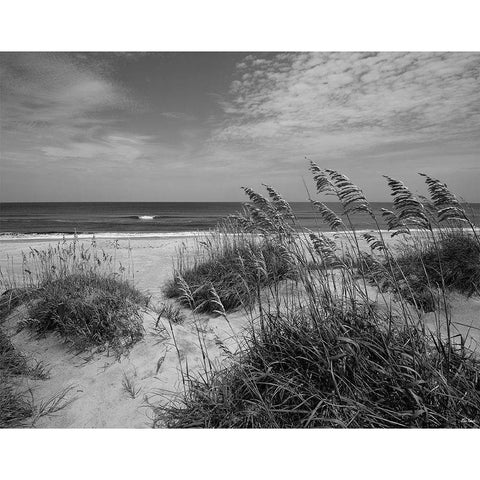 The Blessing Place Black Modern Wood Framed Art Print by Turek, Eve