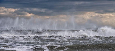 Wave Ballet Black Ornate Wood Framed Art Print with Double Matting by Turek, Eve