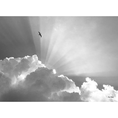 Heavenly Black Modern Wood Framed Art Print with Double Matting by Turek, Eve