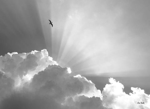 Heavenly White Modern Wood Framed Art Print with Double Matting by Turek, Eve