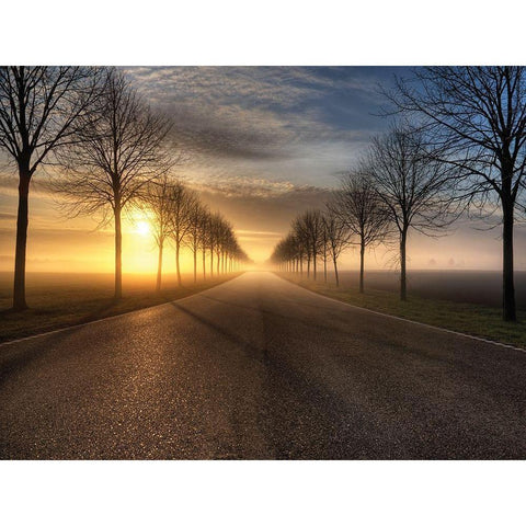 Vanishing Road White Modern Wood Framed Art Print by Anonymous