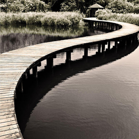 Water Walkway Black Modern Wood Framed Art Print by Chan, Eric