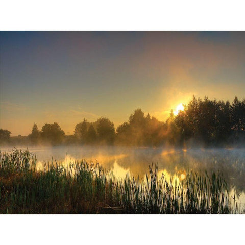 Canal Sunrise Black Modern Wood Framed Art Print with Double Matting by Anonymous