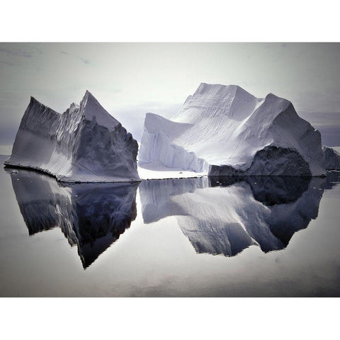 Iceberg Reflections Gold Ornate Wood Framed Art Print with Double Matting by Anonymous