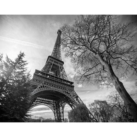 Eiffel Tower with Tree Black Modern Wood Framed Art Print by Graciet, Stephane