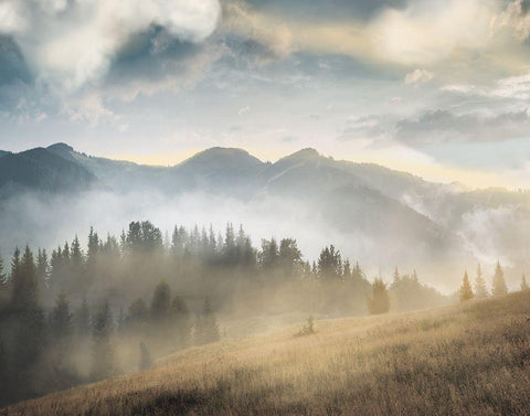 Amazing Mountain Landscape II. Black Ornate Wood Framed Art Print with Double Matting by Anonymous