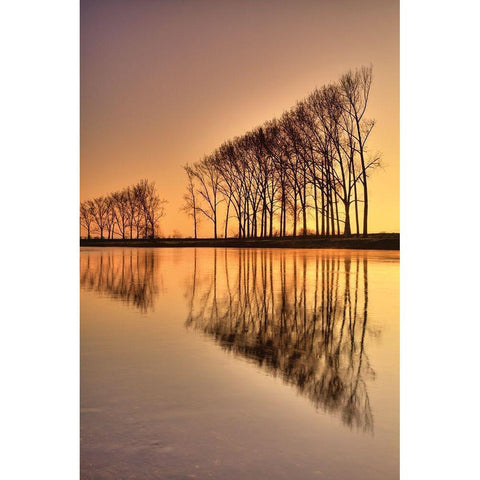 Reflections White Modern Wood Framed Art Print by Anonymous