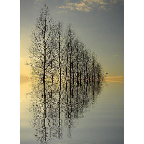 Reflections II Black Modern Wood Framed Art Print with Double Matting by Anonymous