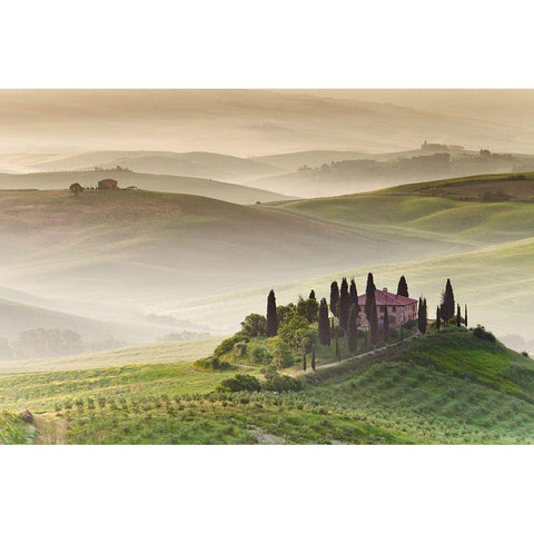 Tuscany II, Color Gold Ornate Wood Framed Art Print with Double Matting by Anonymous