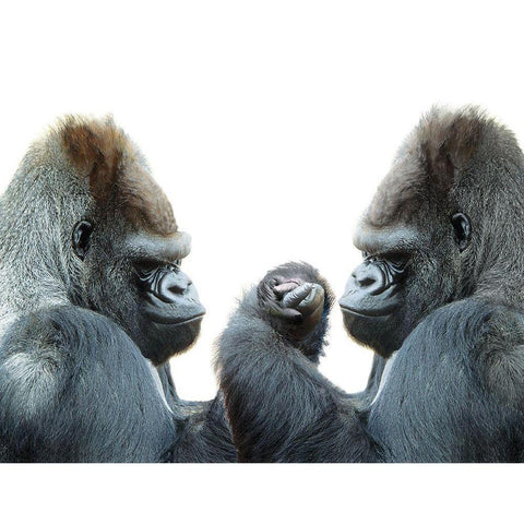 Its Your Move White Modern Wood Framed Art Print by Barlow