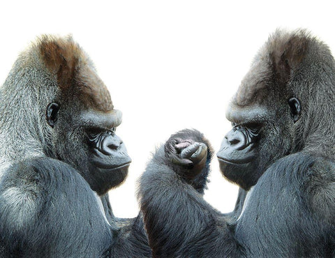 Its Your Move Black Ornate Wood Framed Art Print with Double Matting by Barlow