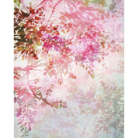 Floral Border Black Modern Wood Framed Art Print with Double Matting by Anonymous