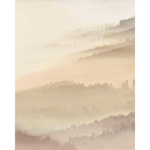 Fog Valley I. White Modern Wood Framed Art Print by Herzog