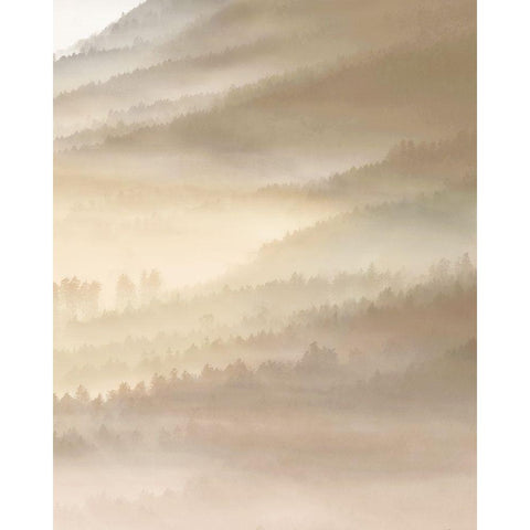 Fog Valley Il. Gold Ornate Wood Framed Art Print with Double Matting by Herzog