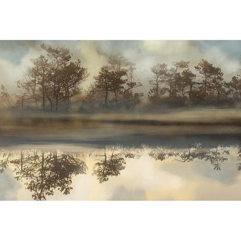 Foggy Morning River Black Modern Wood Framed Art Print by Bereczki, Barna