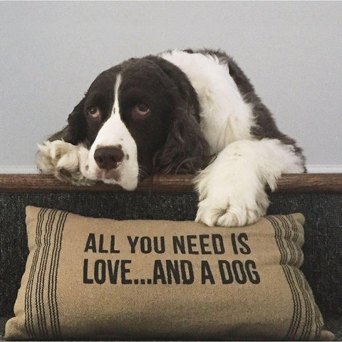 All You Need Is Love ... And A Dog Gold Ornate Wood Framed Art Print with Double Matting by Lowenkron, K