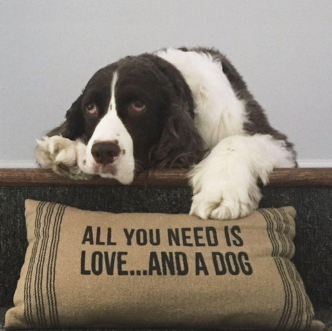 All You Need Is Love ... And A Dog White Modern Wood Framed Art Print with Double Matting by Lowenkron, K