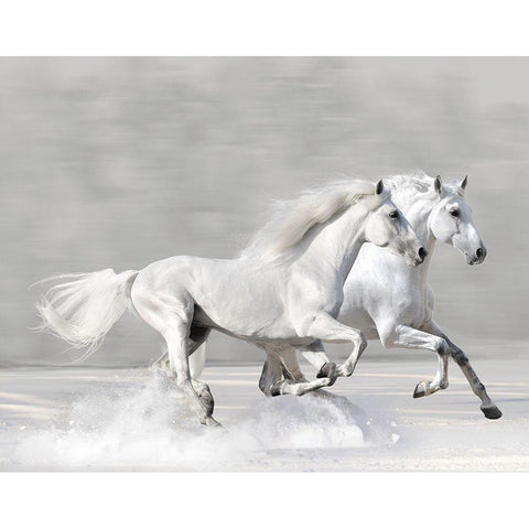 Winter Gallop White Modern Wood Framed Art Print by Makarova