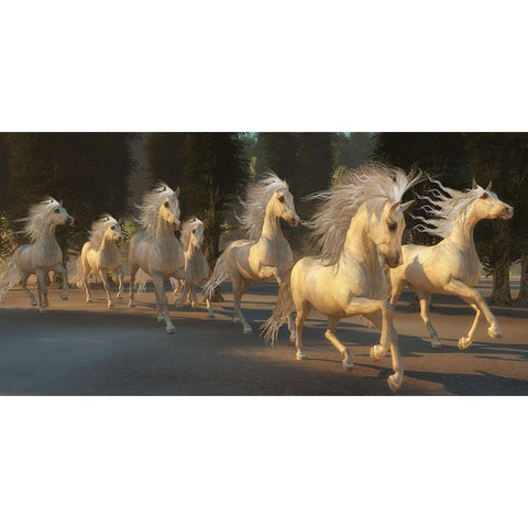 Stallion Run Painting White Modern Wood Framed Art Print by Ford, C.