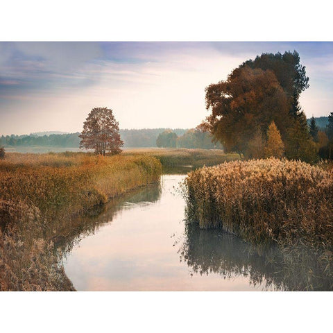 Elk River Gold Ornate Wood Framed Art Print with Double Matting by Anonymous