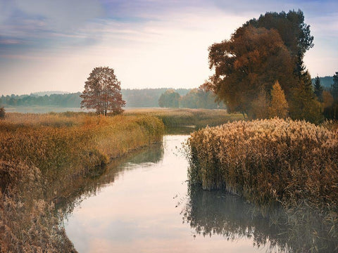 Elk River White Modern Wood Framed Art Print with Double Matting by Anonymous