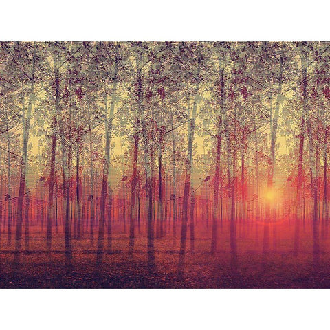 Poplar Trees in the Setting Sun Black Modern Wood Framed Art Print with Double Matting by Anonymous