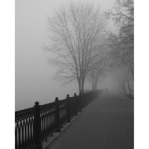 Promenade in the Mist Black Modern Wood Framed Art Print with Double Matting by Anonymous