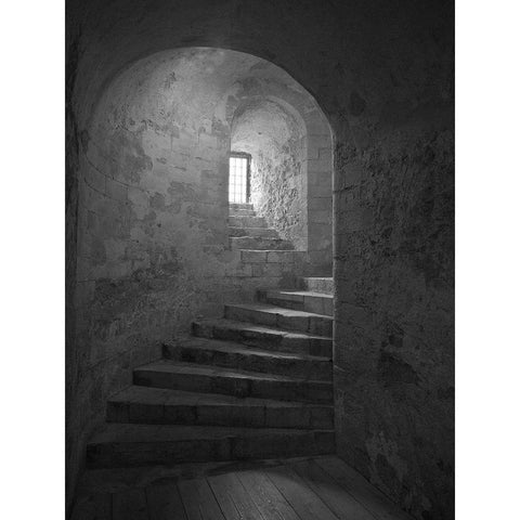 Castle Steps White Modern Wood Framed Art Print by Anonymous