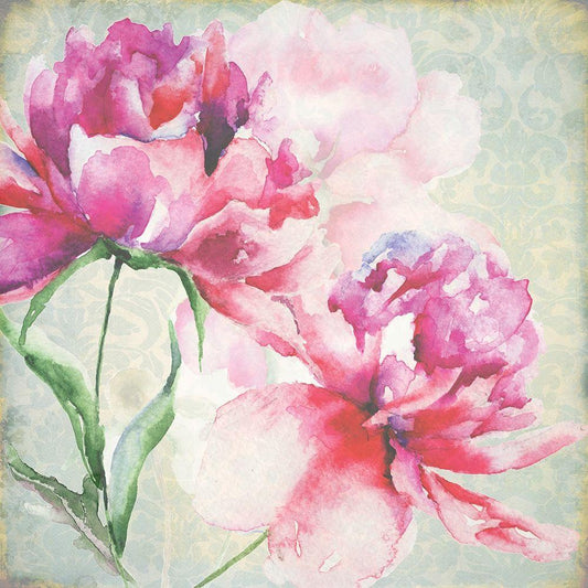 Image Only