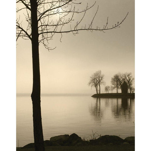 Tranquil Cove White Modern Wood Framed Art Print by Anonymous