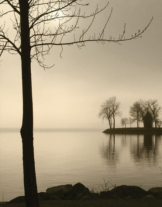 Image Only